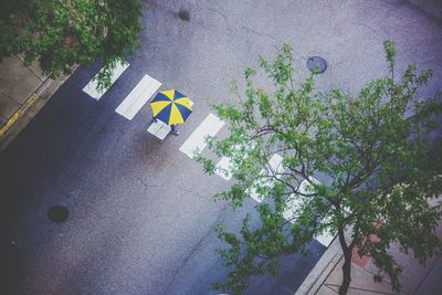 high angle view