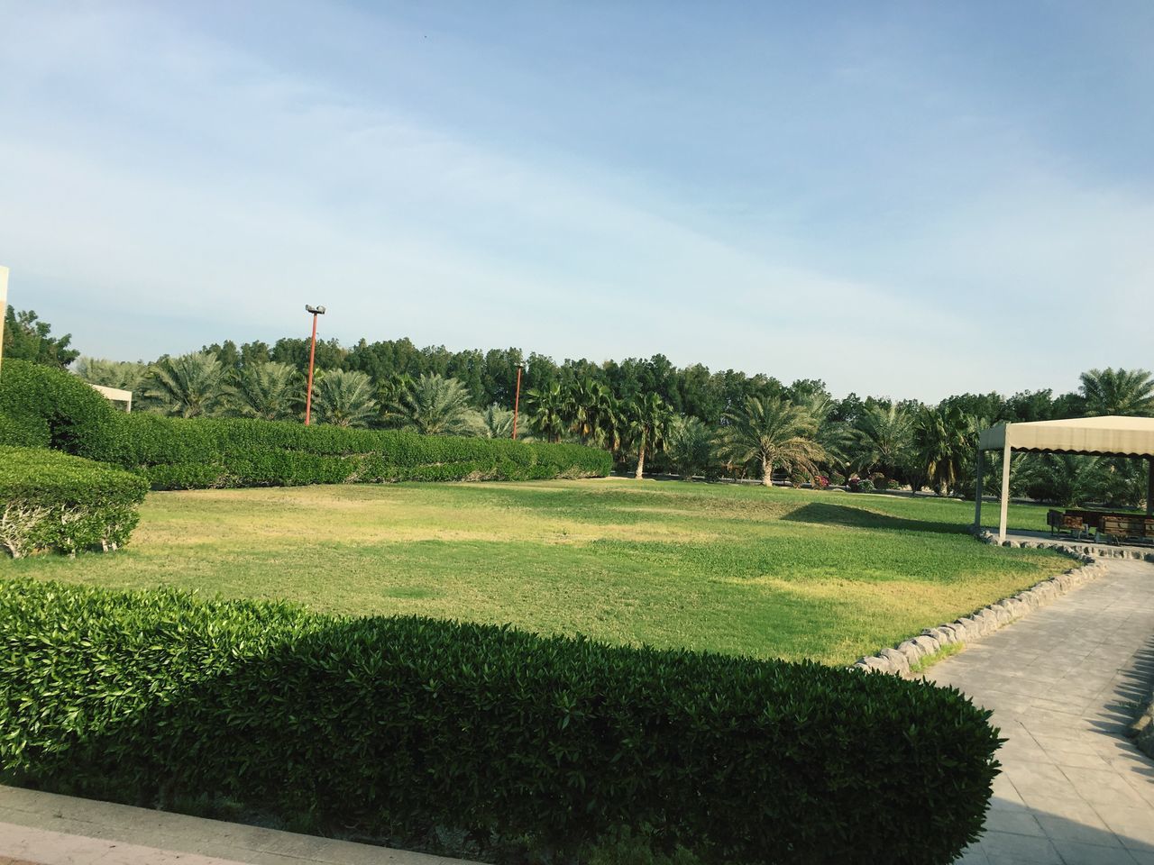 tree, grass, sky, green color, growth, park - man made space, tranquil scene, tranquility, nature, beauty in nature, scenics, footpath, park, day, plant, landscape, outdoors, cloud - sky, green, lawn, no people, grassy, cloud, idyllic, walkway, empty