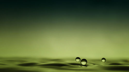 Close-up of water drop on green surface