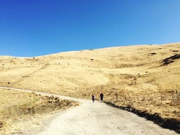 Rear view of people walking on road against clear blue sky