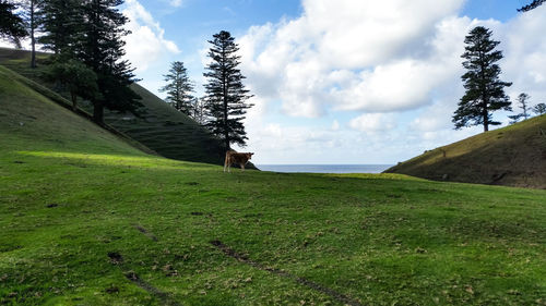 Scenic view of land against sky