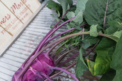 High angle view of vegetables