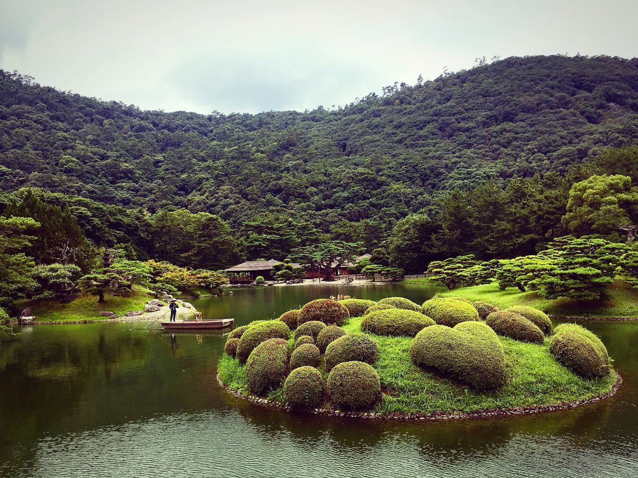 TREES IN THE LAKE