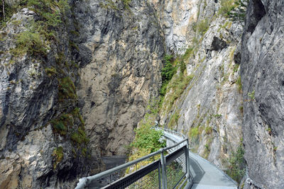 Scenic view of road amidst trees