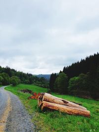 Wooden logs on field against sky