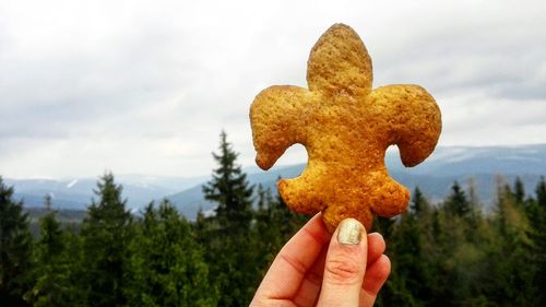 Cropped hand of woman holding cookie against sky