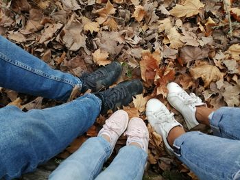 Low section of people with autumn leaves on land