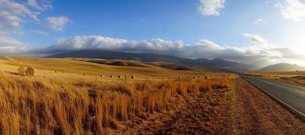 Scenic view of field against sky