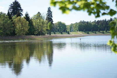 Scenic view of lake by trees against sky