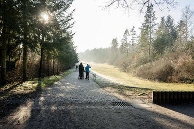 Rear view of people walking on road along trees