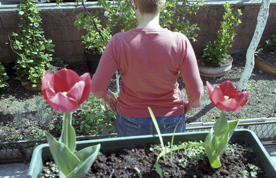 Rear view of man working at yard