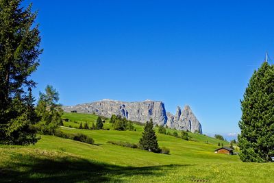 Scenic view of landscape against clear blue sky