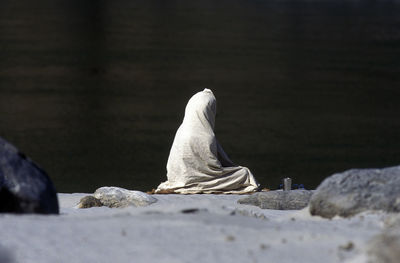 Beggar covered with blanket while sitting on rock
