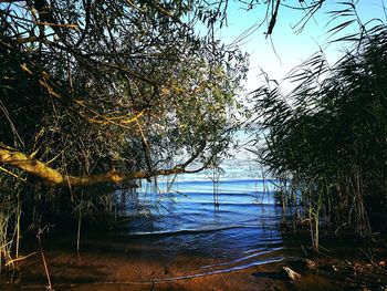 Scenic view of calm sea against sky