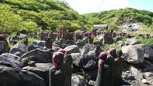 View of trees and rocks against sky