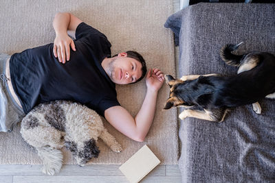 High angle view of a dog lying down