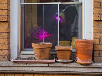 Potted plants on window sill