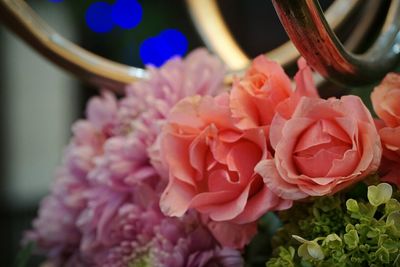 Close-up of pink flower