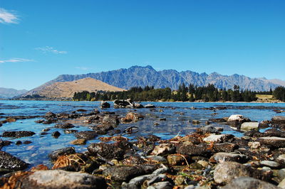 Scenic view of lake against clear blue sky