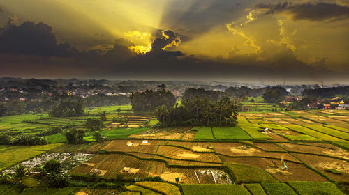 Scenic view of agricultural field against sky during sunset