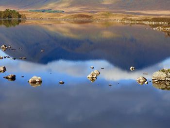 Flock of birds in lake against sky