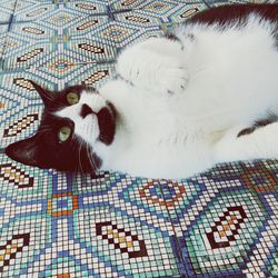 High angle portrait of cat relaxing on mosaic floor