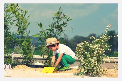 Cute boy playing amidst plants on field