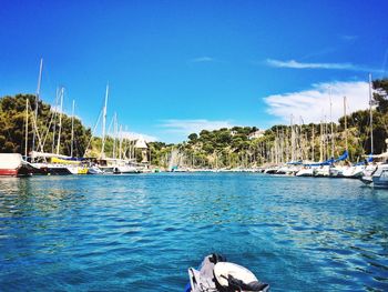 Boats moored at harbor in sea against sky