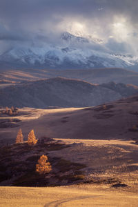 Scenic view of landscape against sky