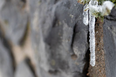 Full frame shot of rock on wall