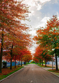 Empty road along trees during autumn
