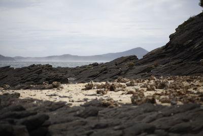 Surface level of rocks on beach against sky