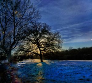 Bare trees by river against sky during winter