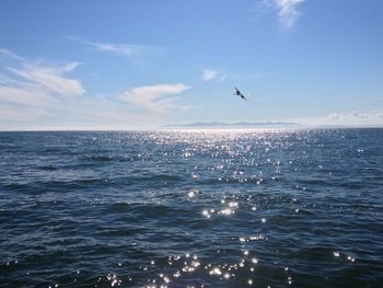 Birds flying over sea against sky