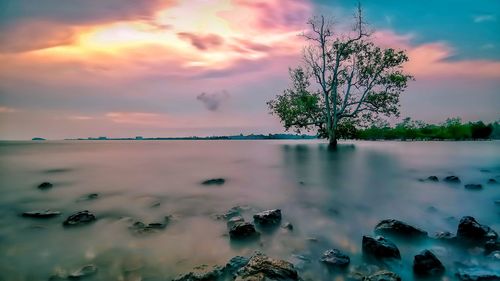 Scenic view of lake against sky during sunset