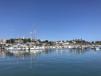 Sailboats in marina