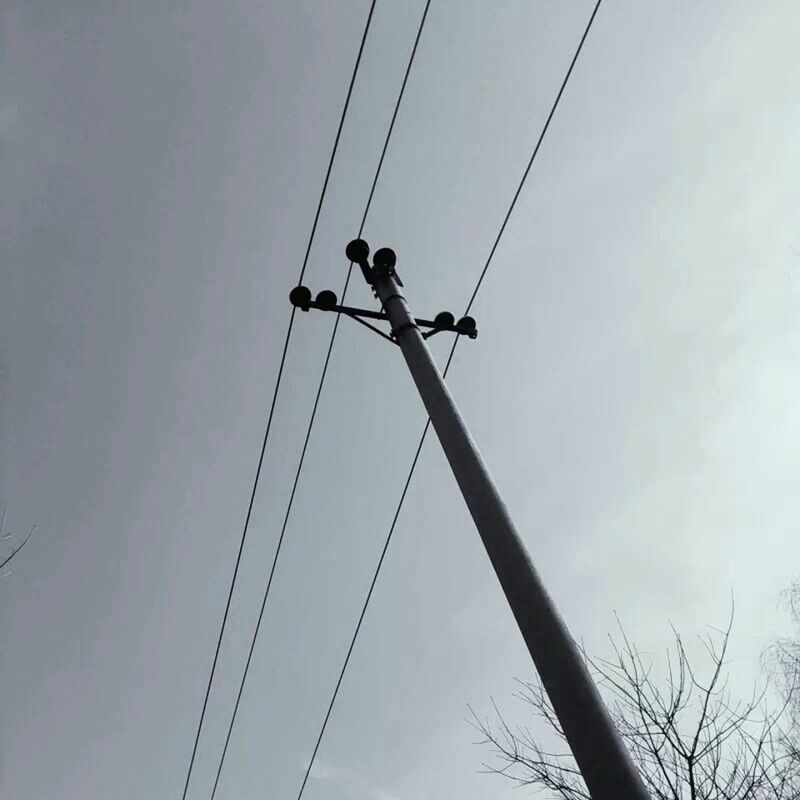 low angle view, power line, cable, sky, connection, electricity, electricity pylon, power supply, silhouette, technology, street light, clear sky, transportation, power cable, outdoors, animal themes, day, pole, fuel and power generation, bird