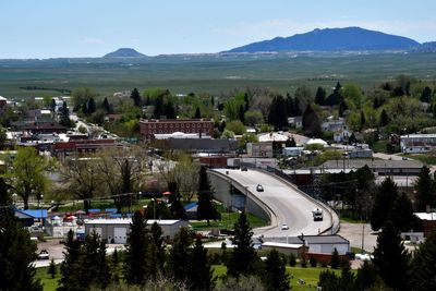 High angle view of trees and buildings in small town