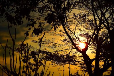 Silhouette trees against sky during sunset