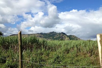 Scenic view of grassy field against cloudy sky