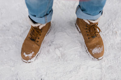 Low section of woman standing on snow