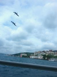 Birds flying over city against sky