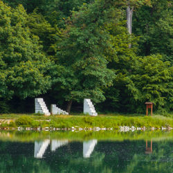 Scenic view of lake by trees and plants