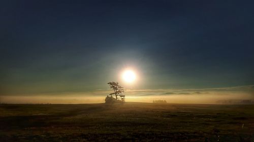 Scenic view of agricultural field against sky during sunset