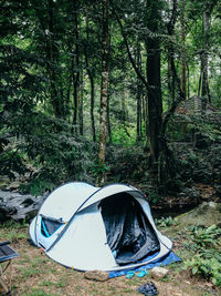 Tent in forest