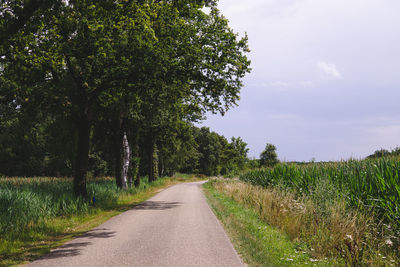 Road amidst trees on field against sky