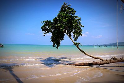 Scenic view of sea against blue sky