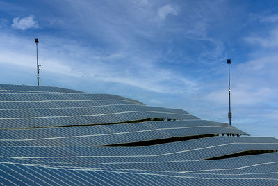 Low angle view of plants against blue sky