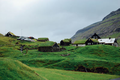 Houses on grassy field