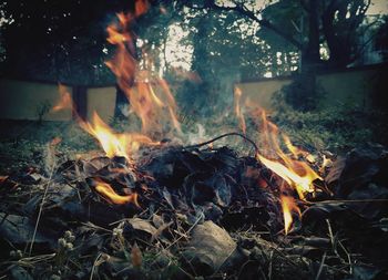 Close-up of bonfire at night